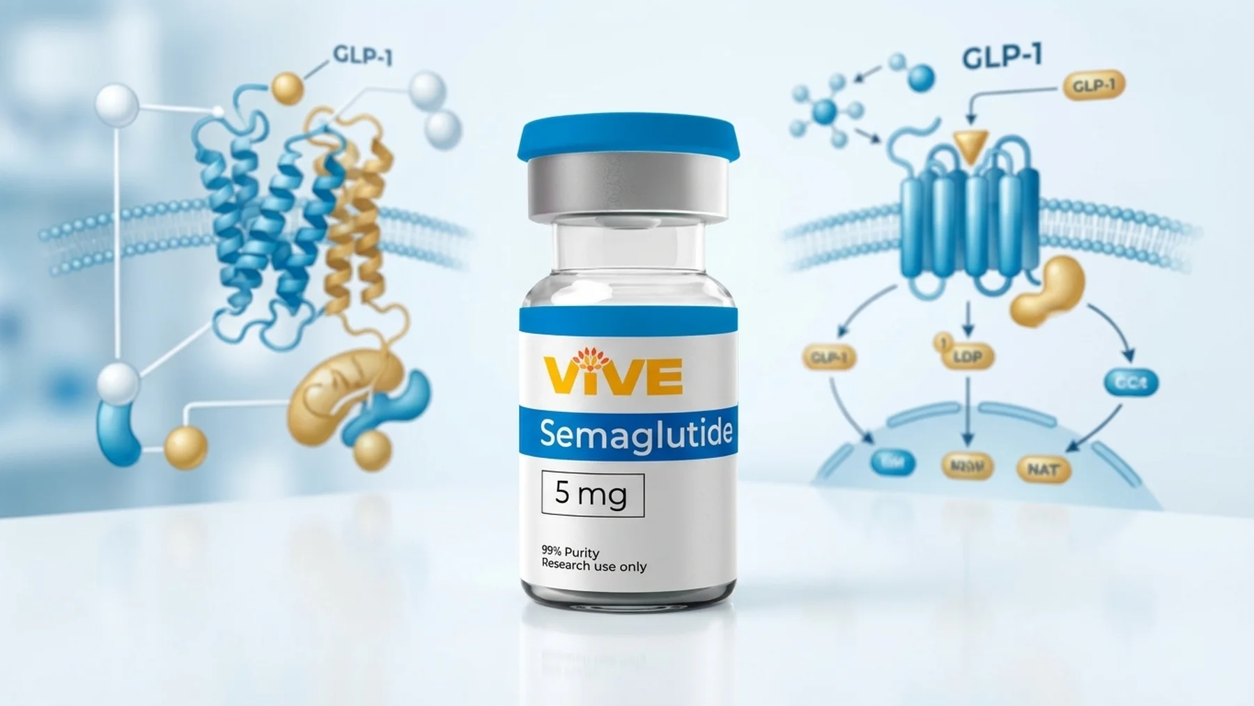 VivePeptides research vial centered before GLP-1 receptor binding pathway diagrams